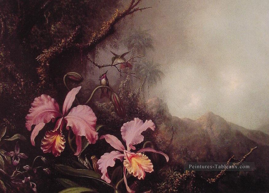 Deux Orchidées dans une Montagne Paysage romantique fleur Martin Johnson Heade Peintures à l'huile